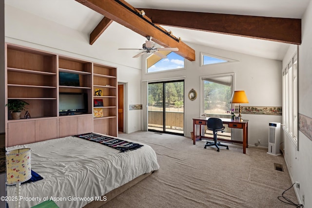 14 Fender Ln, Carbondale, CO 81623 - carpeted bedroom with access to outside and an office area