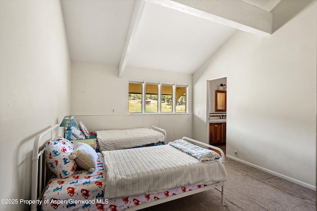 14 Fender Ln, Carbondale, CO 81623 - carpeted bedroom featuring baseboards and ensuite bathroom