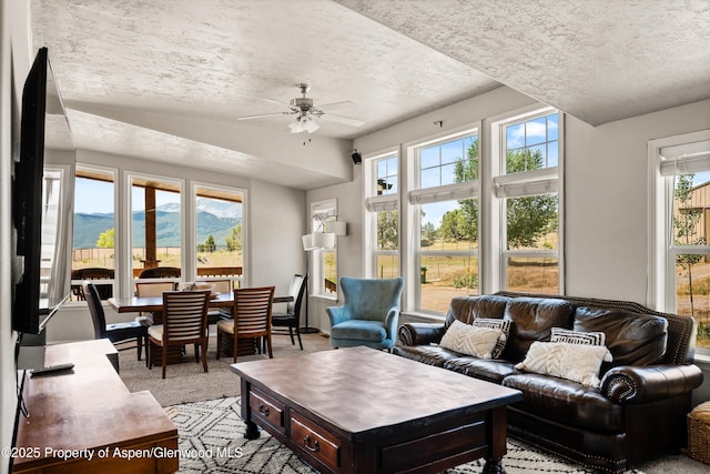 14 Fender Ln, Carbondale, CO 81623 - living area featuring ceiling fan, a textured ceiling, and light carpet