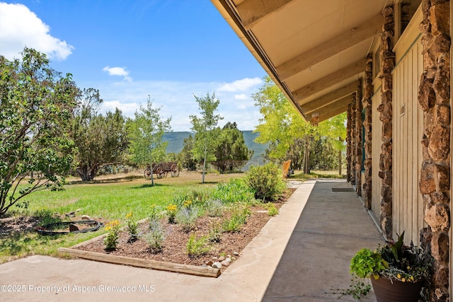 14 Fender Ln, Carbondale, CO 81623 - view of green lawn