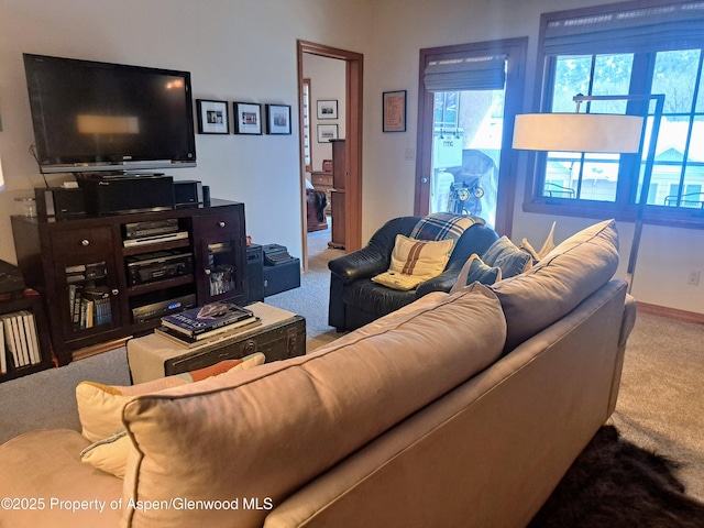 living area with carpet