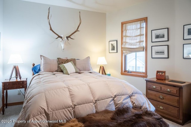 bedroom with carpet flooring