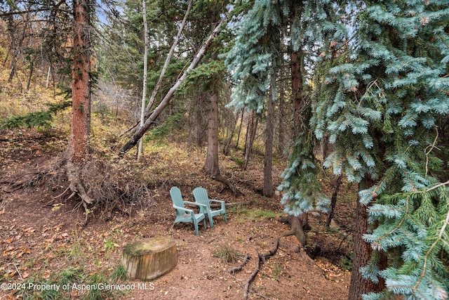175 Bighorn Ln, Redstone, CO 81623 - photo 22