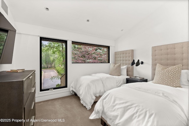 155 Lone Pine Rd Unit 12, Aspen, CO 81611 - photo 16