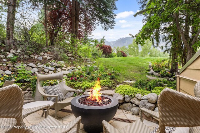 155 Lone Pine Rd Unit 12, Aspen, CO 81611 - photo 19