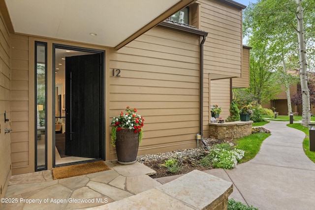 155 Lone Pine Rd Unit 12, Aspen, CO 81611 - photo 22
