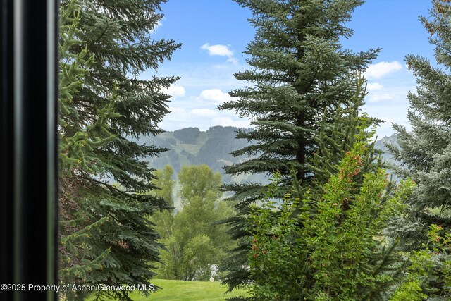 155 Lone Pine Rd Unit 12, Aspen, CO 81611 - photo 13
