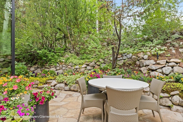 155 Lone Pine Rd Unit 12, Aspen, CO 81611 - photo 20