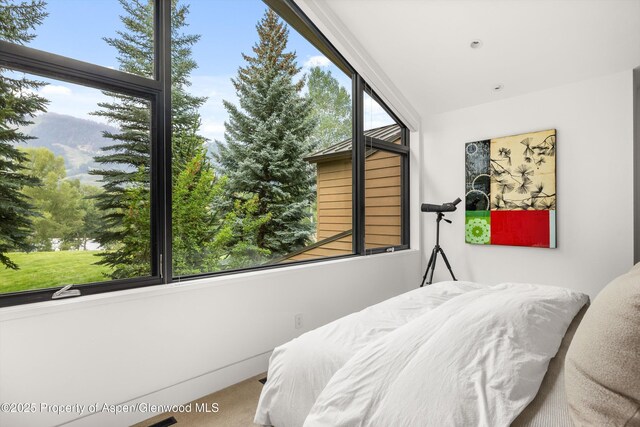 155 Lone Pine Rd Unit 12, Aspen, CO 81611 - photo 12