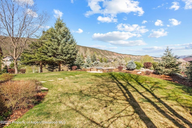 view of yard with a mountain view