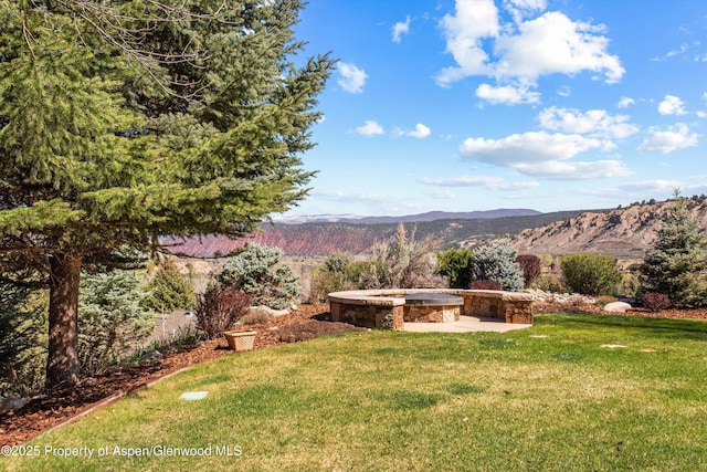 view of yard featuring a mountain view and a patio area