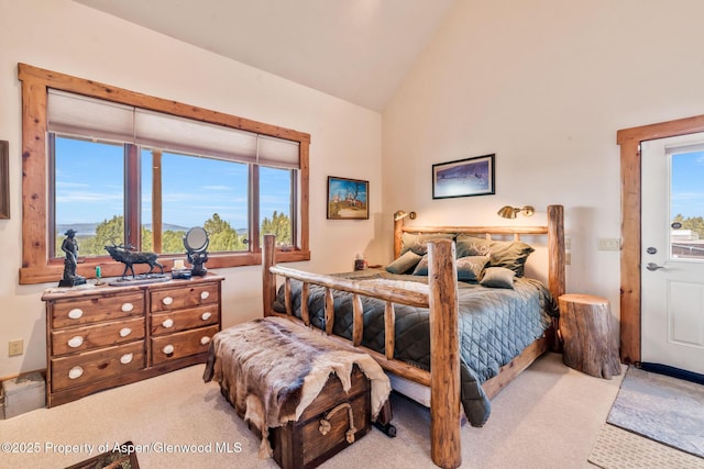 76 County Road 60b, Maybell, CO 81640 - bedroom with vaulted ceiling and carpet flooring