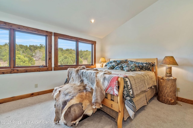 76 County Road 60b, Maybell, CO 81640 - carpeted bedroom with baseboards and vaulted ceiling