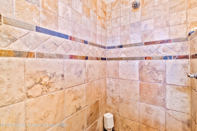 76 County Road 60b, Maybell, CO 81640 - details featuring a shower