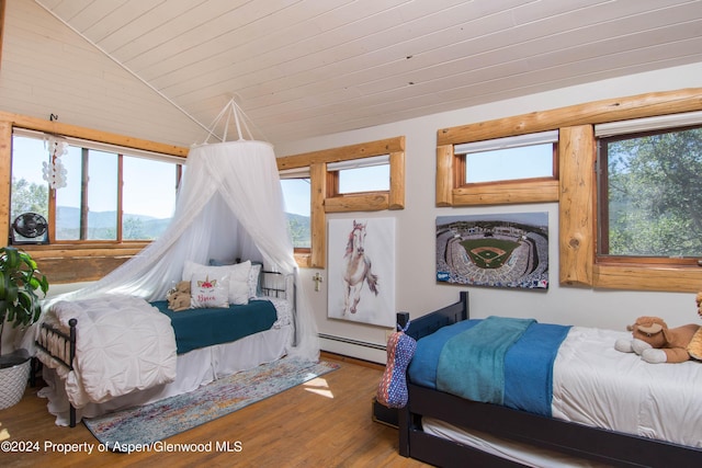 bedroom featuring multiple windows, a mountain view, hardwood / wood-style floors, and a baseboard heating unit