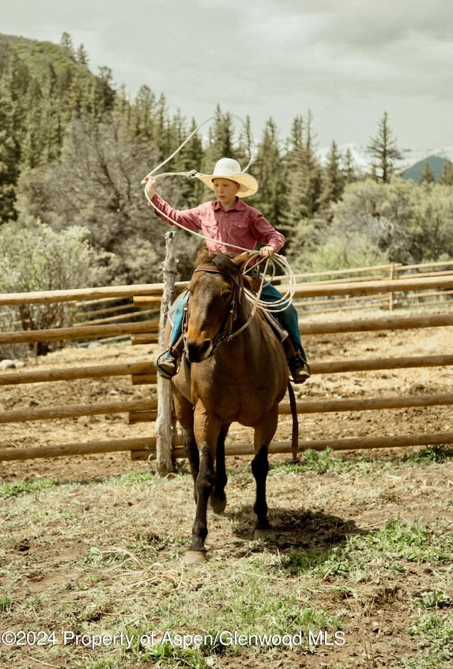 1150 Capitol Creek Rd, Snowmass, CO 81654 - view of horse barn