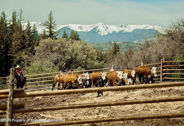 view of horse barn with a mountain view and a rural view