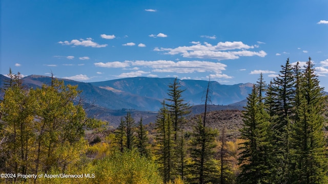 1150 Capitol Creek Rd, Snowmass, CO 81654 - view of mountain backdrop