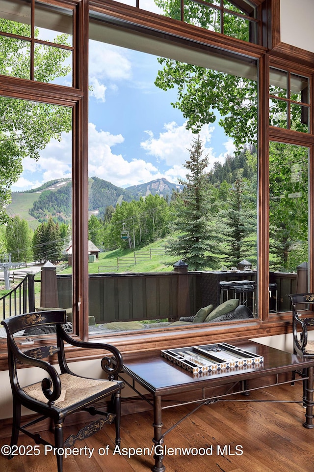 611 Oregon Trl, Aspen, CO 81611 - interior space featuring a mountain view and wood finished floors