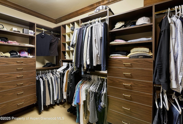 611 Oregon Trl, Aspen, CO 81611 - view of walk in closet