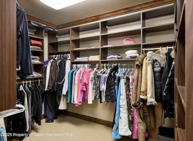 611 Oregon Trl, Aspen, CO 81611 - view of walk in closet
