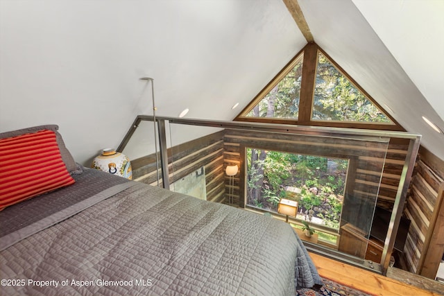 117 Neale Ave, Aspen, CO 81611 - photo 19
