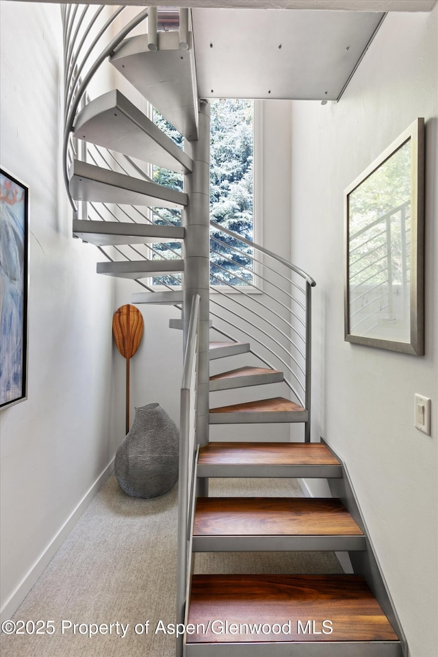 117 Neale Ave, Aspen, CO 81611 - photo 20