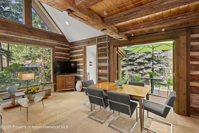 117 Neale Ave, Aspen, CO 81611 - photo 11