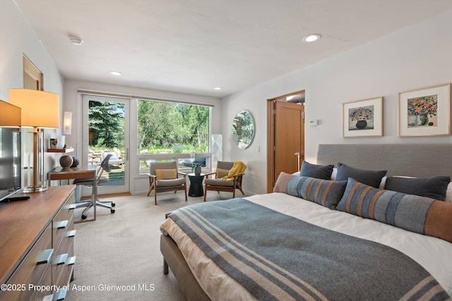 117 Neale Ave, Aspen, CO 81611 - photo 21