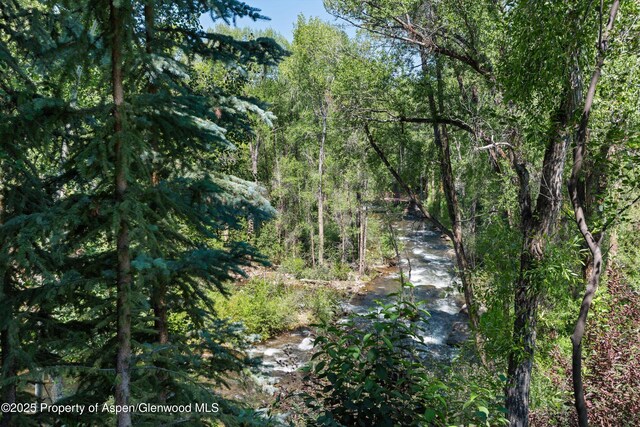 117 Neale Ave, Aspen, CO 81611 - photo 9