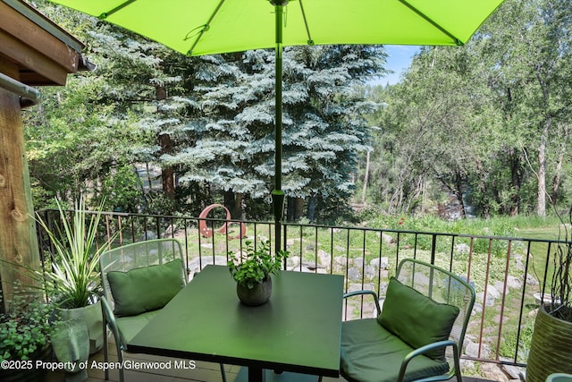 117 Neale Ave, Aspen, CO 81611 - photo 17