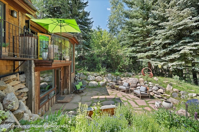 117 Neale Ave, Aspen, CO 81611 - photo 6