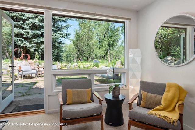 117 Neale Ave, Aspen, CO 81611 - photo 22