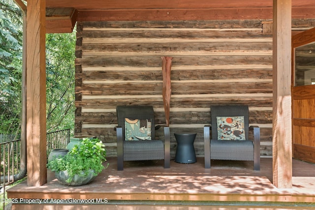 117 Neale Ave, Aspen, CO 81611 - photo 5