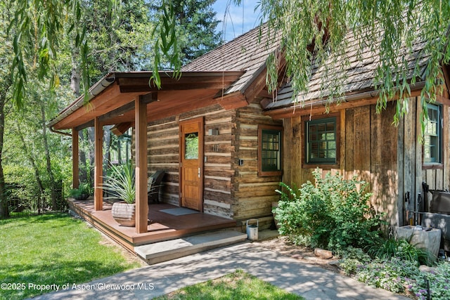 117 Neale Ave, Aspen, CO 81611 - photo 3