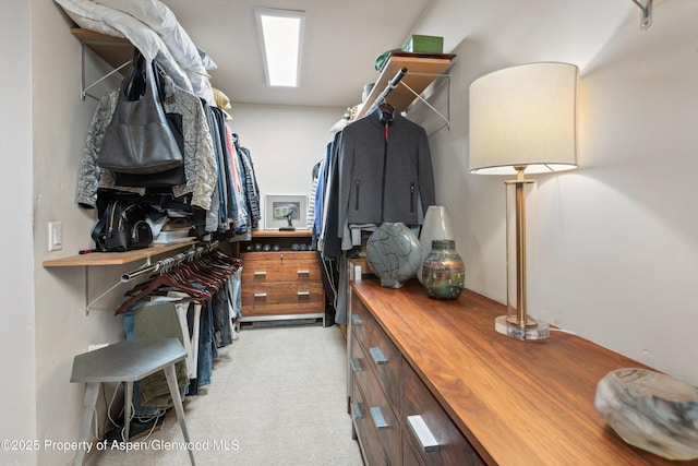 117 Neale Ave, Aspen, CO 81611 - photo 23