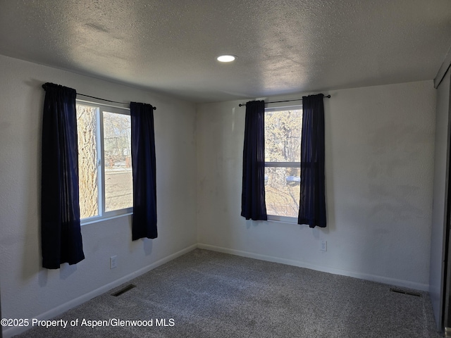 carpeted spare room with plenty of natural light and a textured ceiling