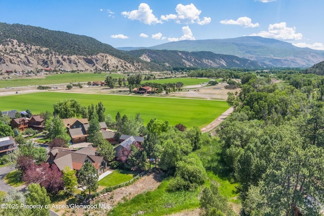 11 Pinon Ln, Carbondale, CO 81623 - mountain view
