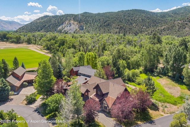 11 Pinon Ln, Carbondale, CO 81623 - aerial view of a forest and mountains
