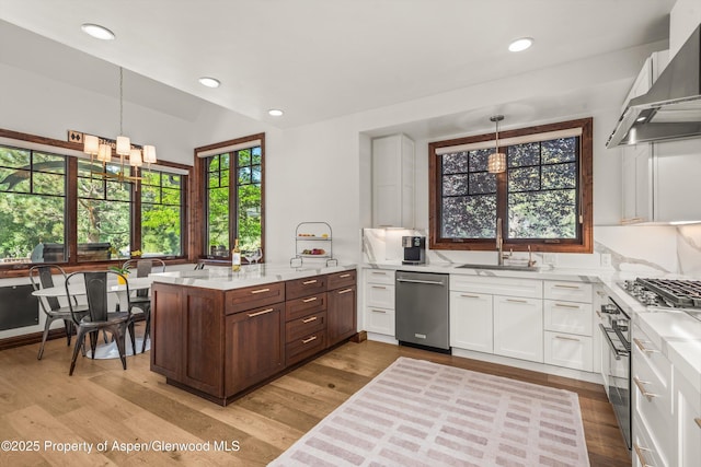 11 Pinon Ln, Carbondale, CO 81623 - kitchen featuring extractor fan, stainless steel appliances, a peninsula, white cabinets, and light wood-style floors