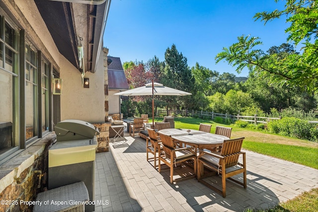 11 Pinon Ln, Carbondale, CO 81623 - fenced backyard featuring outdoor dining space, a patio area, and grilling area
