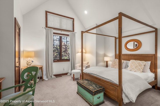 11 Pinon Ln, Carbondale, CO 81623 - bedroom featuring carpet and high vaulted ceiling