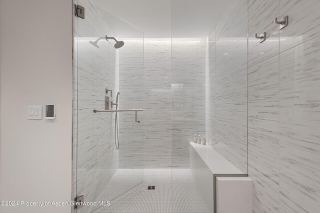 130 Wood Road 256 & 258, Snowmass Village, CO 81615 - bathroom with walk in shower