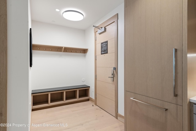 130 Wood Road 256 & 258, Snowmass Village, CO 81615 - mudroom with light wood-type flooring