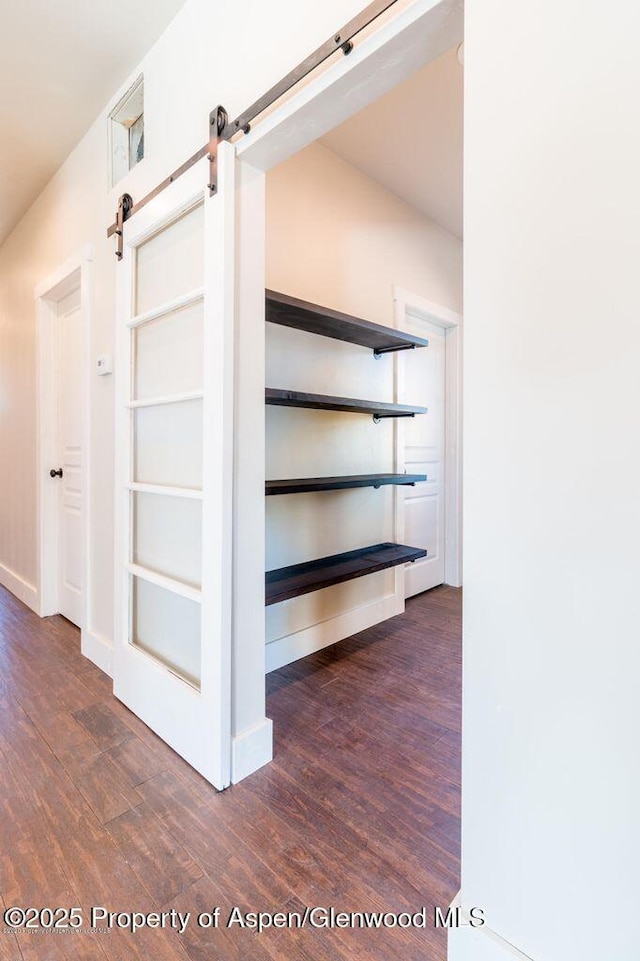 682 Eagles Nest Dr, Silt, CO 81652 - view of closet