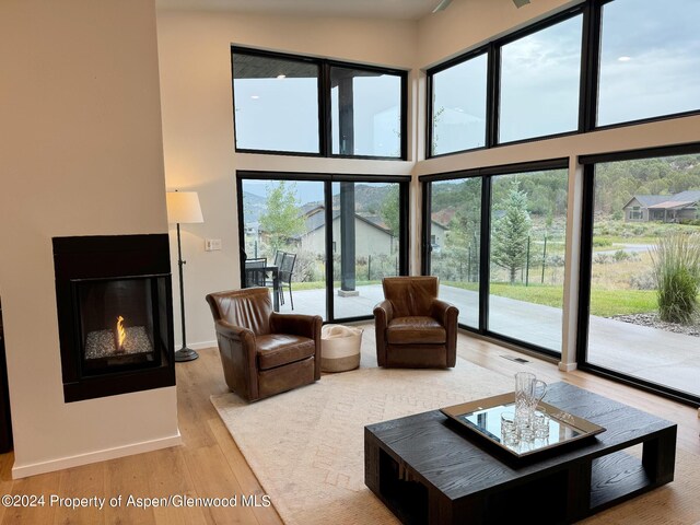 living room with a towering ceiling and light hardwood / wood-style flooring