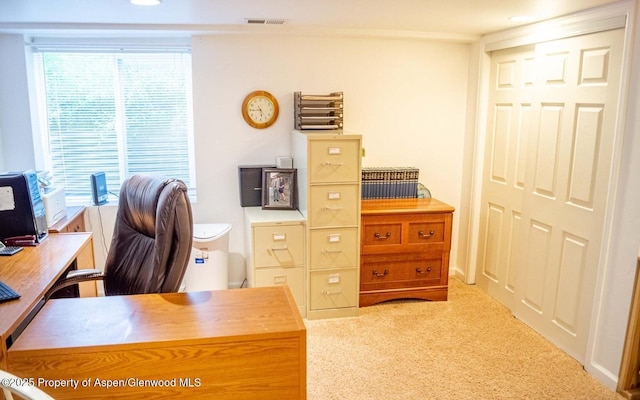 337 E 5 Th St, Rifle, CO 81650 - view of carpeted office