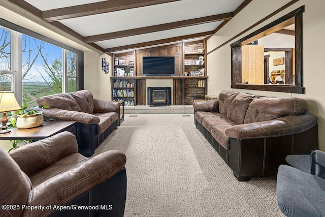 3598 County Road 35, Craig, CO 81625 - living area with carpet and a glass covered fireplace