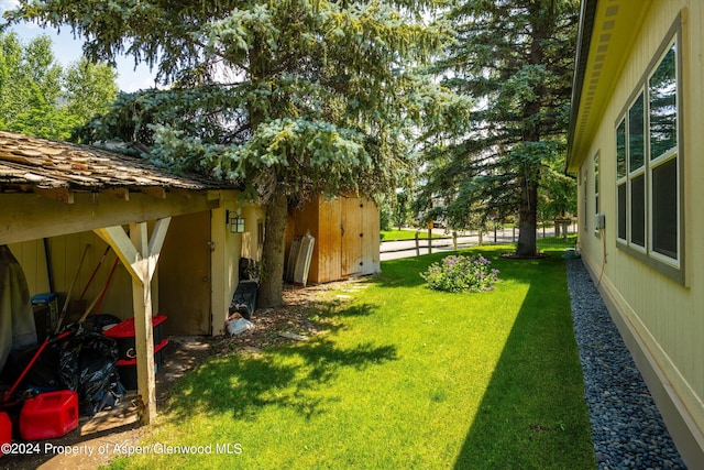 29 Bear Trl, Aspen, CO 81611 - photo 25