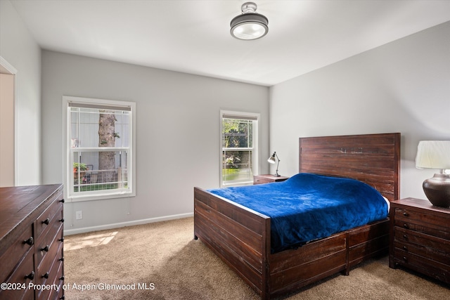 29 Bear Trl, Aspen, CO 81611 - photo 16